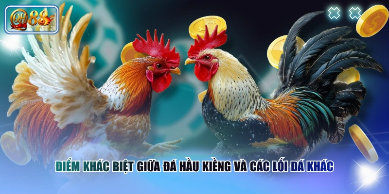 Điểm khác biệt giữa đá hầu kiềng và các lối đá khác 