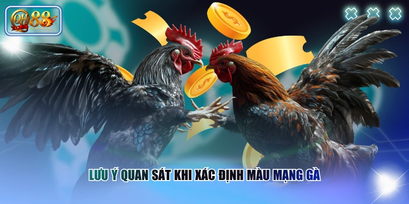Lưu ý quan sát khi xác định màu mạng gà
