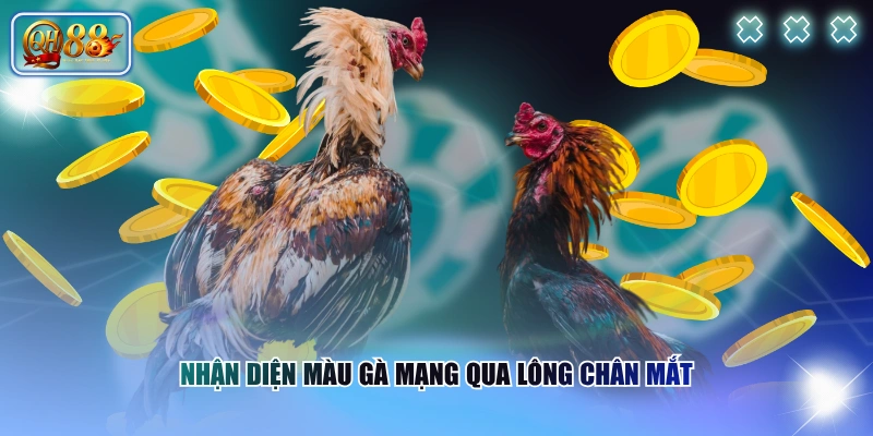 Nhận diện màu gà mạng qua lông chân mắt