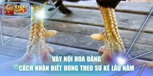 Vảy Nội Hoa Đăng | Cách Nhận Biết Đúng Theo Sư Kê Lâu Năm